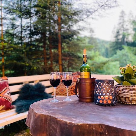 Roua Bucovinei Villa Sadova  Kültér fotó