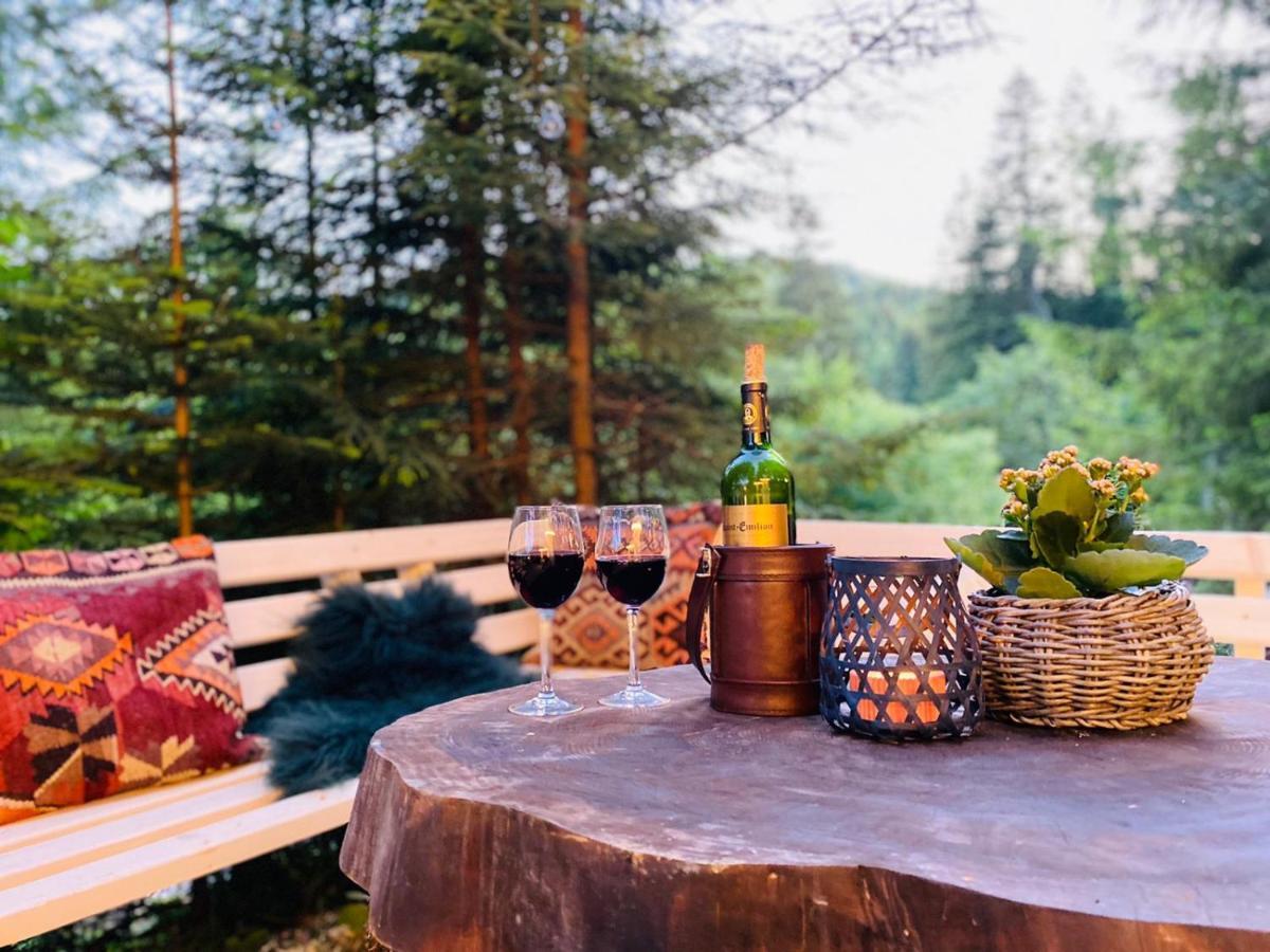 Roua Bucovinei Villa Sadova  Kültér fotó