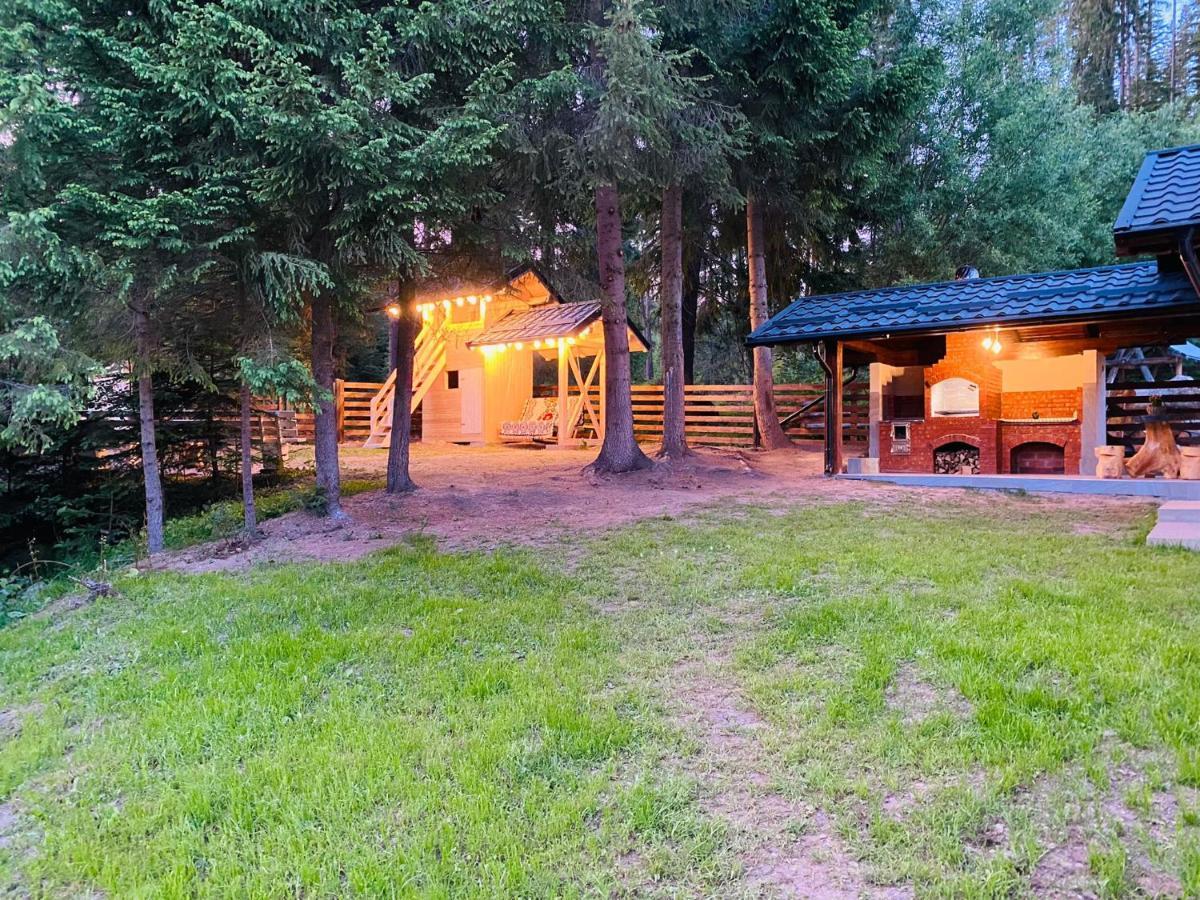 Roua Bucovinei Villa Sadova  Kültér fotó
