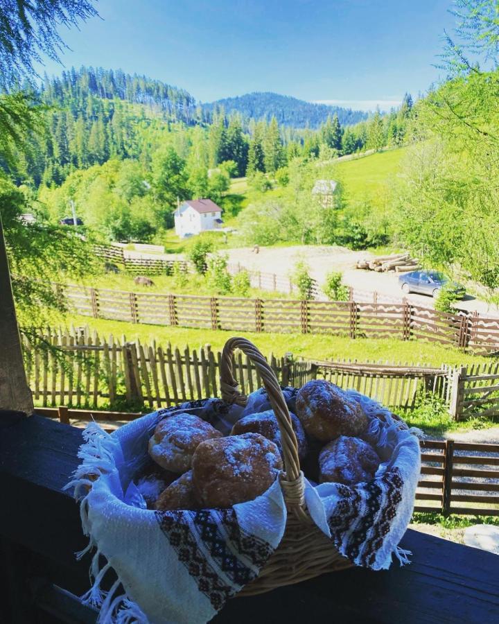 Roua Bucovinei Villa Sadova  Kültér fotó